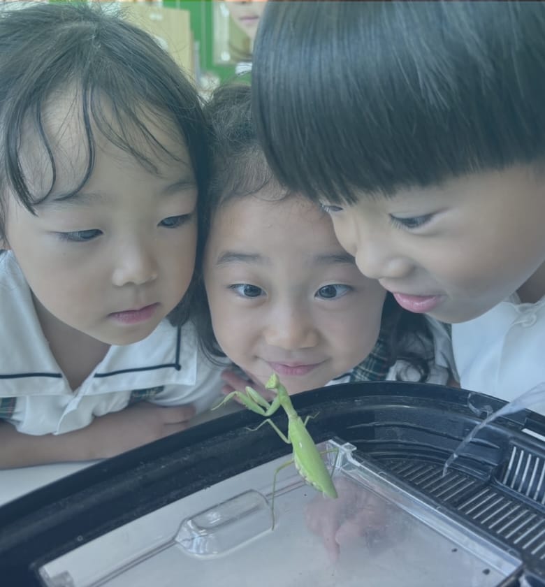 こどもの豊かな成長は保育の現場からはじまる