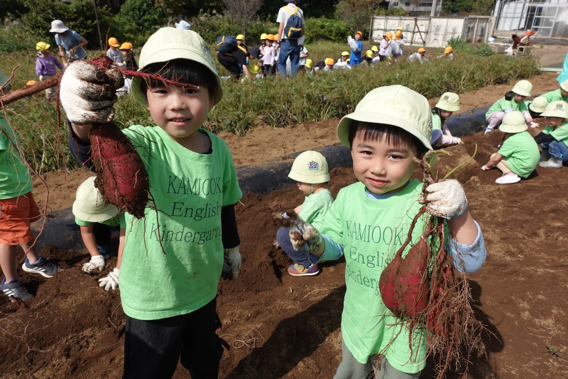 0e83e77dfa6b17e801ec7429b42ed068-1759106492.jpg 0e83e77dfa6b17e801ec7429b42ed068-1759106492.jpg