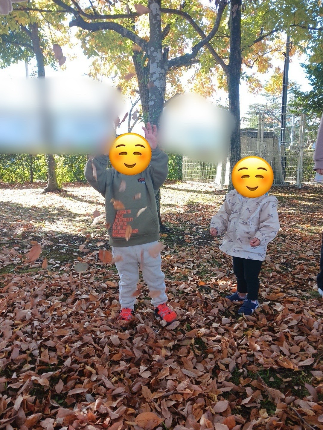 8725fd760f1f05c25d025698ab292f68-1768283871.jpg 8725fd760f1f05c25d025698ab292f68-1768283871.jpg